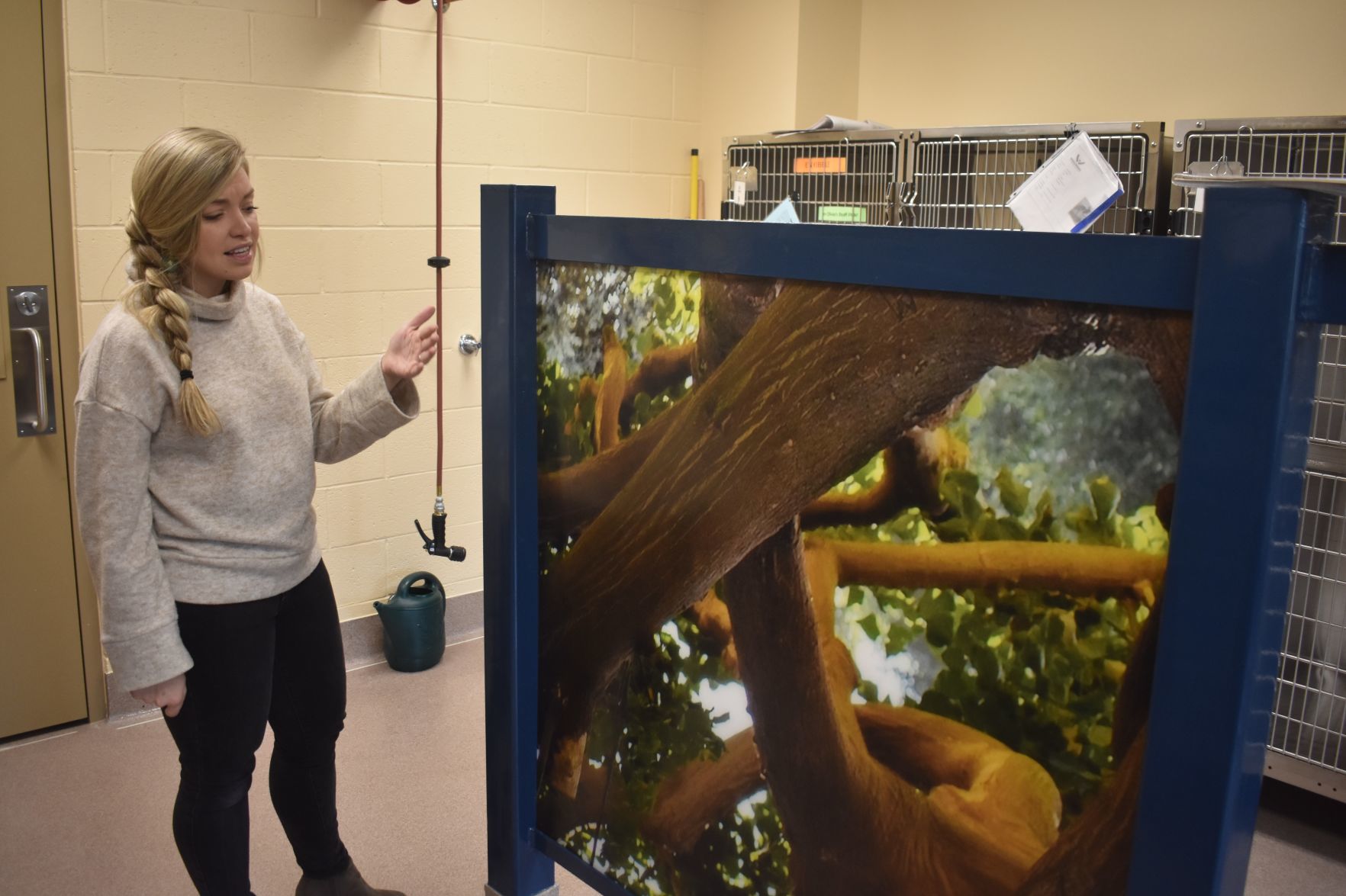 New Humane Society shelter